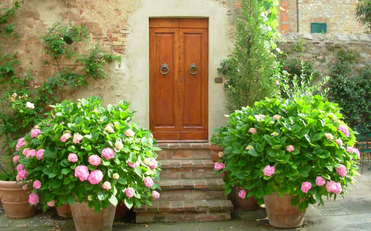 drzwi drewniane z kwiatami