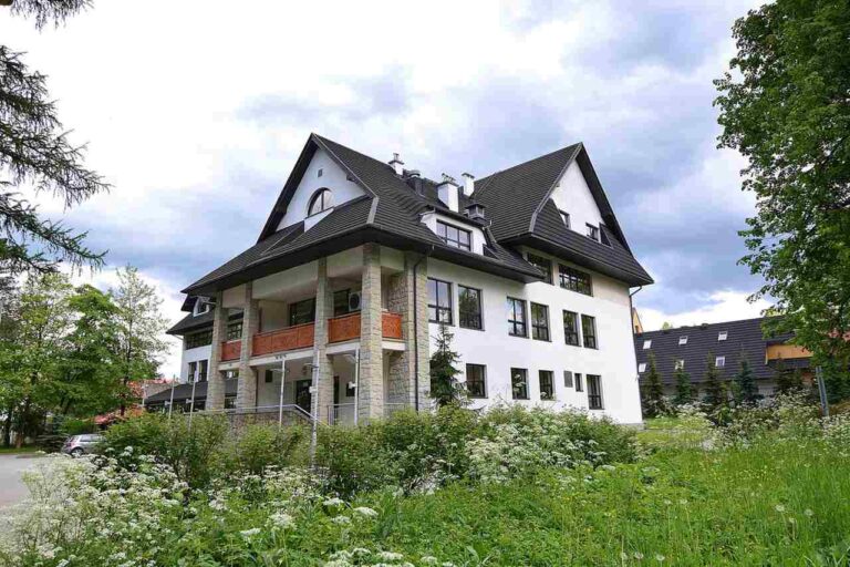 gerard-roofs-ciemne-dachoblachowki