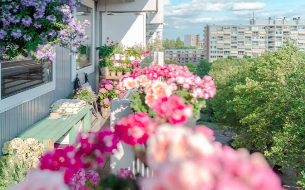 kwiaty-na-balkonie